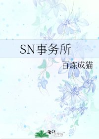 SN事务所